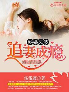 秘婚風波：追妻成癮