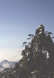 陽光景區 陽光景區