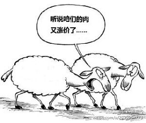 羊肉價高，市民呼“羊貴妃”