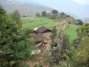 獨次古村 獨次古村