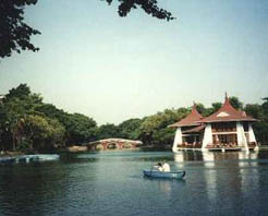 大安濱海樂園 大安濱海樂園