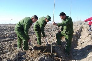 新疆生產建設兵團