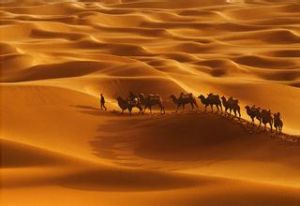 塔克拉瑪乾沙漠