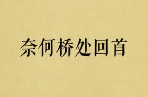 奈何橋處回首 奈何橋處回首