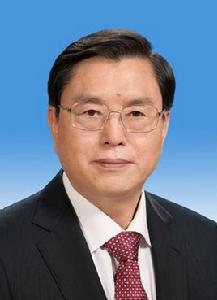 張德江[第十八屆中央政治局常委]