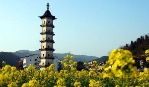 鳳山龍天塔 鳳山龍天塔