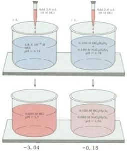 緩衝溶液 緩衝溶液