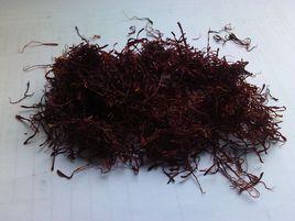 藏紅花花絲 藏紅花花絲