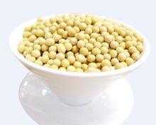 有機黃豆