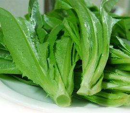 長葉萵苣 長葉萵苣