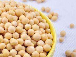 德純豆8號 德純豆8號