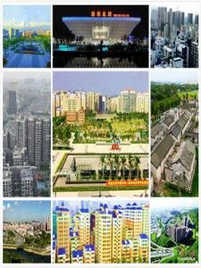 龍華新區 龍華新區