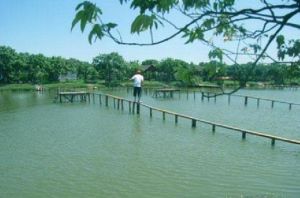 廣州歷奇山莊 廣州歷奇山莊