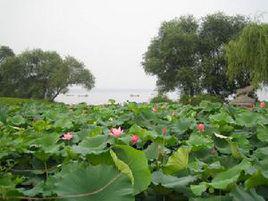 科爾沁左翼中旗