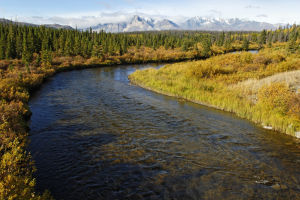 加拿大河 加拿大河