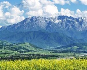 太子山國家森林公園 太子山國家森林公園