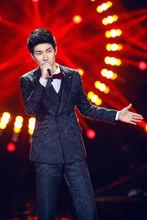 Besame Mucho[王晰我是歌手4踢館歌曲]