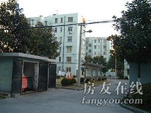 綠梅一村 綠梅一村