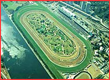 沙田馬場-彭福公園