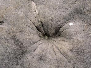 閃電化石 閃電化石