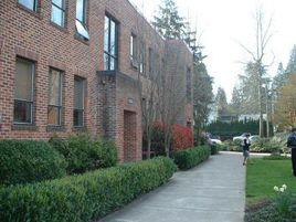 美國康克迪亞大學 美國康克迪亞大學