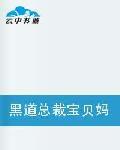 黑道總裁寶貝媽咪十七歲 黑道總裁寶貝媽咪十七歲