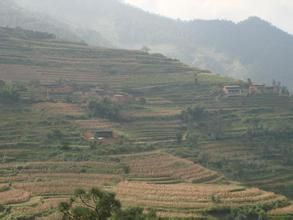 羅把苦村 羅把苦村