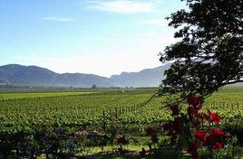 大黃莊鎮 大黃莊鎮