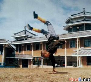 九龍拳黃橙可 九龍拳黃橙可