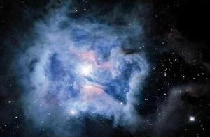 鳶尾花星雲 鳶尾花星雲