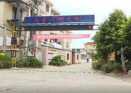 龍田村[福建省福州市長樂區古槐鎮下轄村]