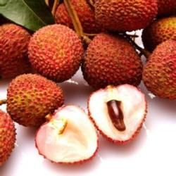 玉荷包荔枝 玉荷包荔枝