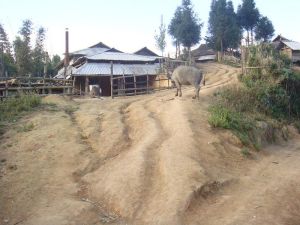 曼囡自然村 曼囡自然村