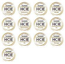 HCIE