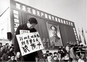 《中國共產黨歷史》第二卷：全面地實事求是地反映了29年的歷史真實，緊緊把握這段歷史的主題和主線，也如實反映這一時期黨所犯的錯誤及其後果。
