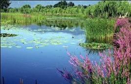 丹江源國家濕地公園 丹江源國家濕地公園