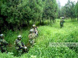 戶外電子競技 戶外電子競技