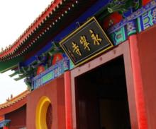 永寧寺[江蘇省豐縣永寧寺]