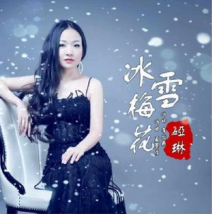 冰雪梅花 冰雪梅花