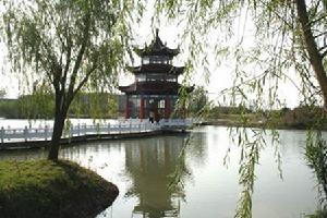 華都森林公園 華都森林公園