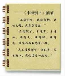 《不準倒下》 《不準倒下》