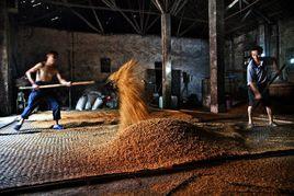 陳化[化學名詞]