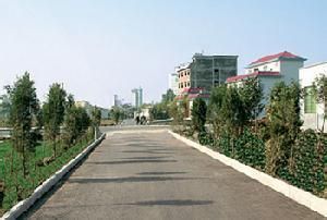 南朱家莊村 南朱家莊村