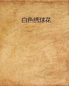 白色繡球花 白色繡球花