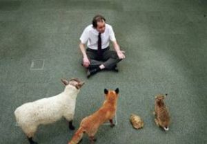 職場動物族 職場動物族