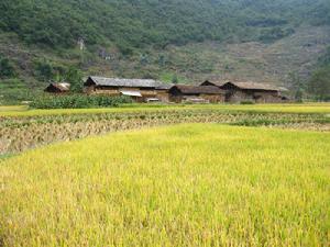 西基庫村 西基庫村