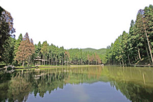 石垟林場 石垟林場