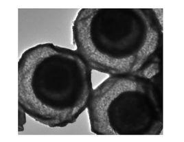 三氧化鎢空心球 三氧化鎢空心球