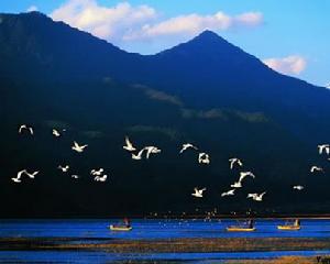 雲南拉什海濕地