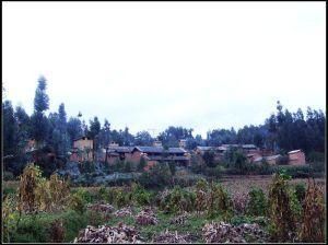 天目山村 天目山村